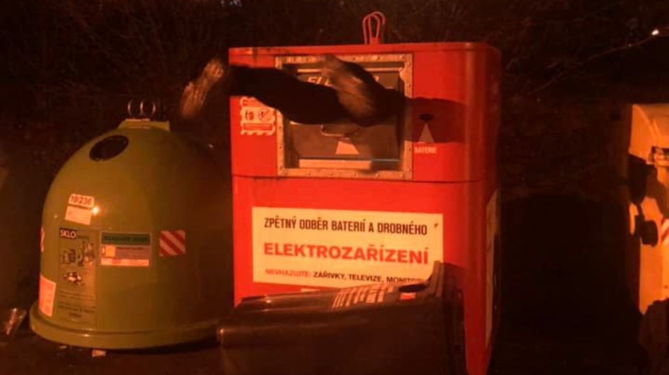 Zlodějí riskují svůj život